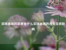 买球串场的意思是什么买球串场的含义及其影响