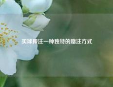 买球押注一种独特的赌注方式