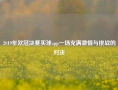 2019年欧冠决赛买球app一场充满激情与挑战的对决