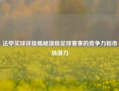 法甲买球评级揭秘顶级足球赛事的竞争力和市场潜力