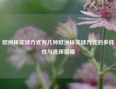 欧洲杯买球方式有几种欧洲杯买球方式的多样性与选择指南
