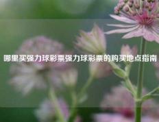 哪里买强力球彩票强力球彩票的购买地点指南