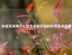 中超买球用什么软件中超买球的软件选择指南
