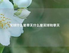 买球什么是单关什么是买球和单关