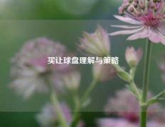 买让球盘理解与策略