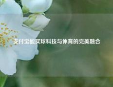 支付宝能买球科技与体育的完美融合