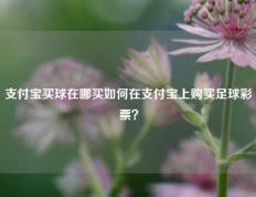 支付宝买球在哪买如何在支付宝上购买足球彩票？