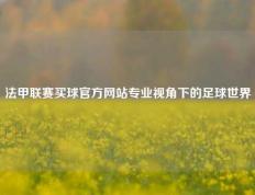法甲联赛买球官方网站专业视角下的足球世界