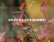 羽毛球在哪里买羽毛球在哪里买？