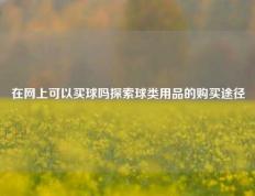在网上可以买球吗探索球类用品的购买途径