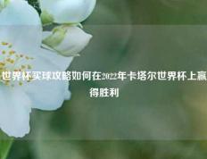 世界杯买球攻略如何在2022年卡塔尔世界杯上赢得胜利