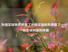 外围买球突然停盘了外围买球突然停盘了——一场市场风波的序曲