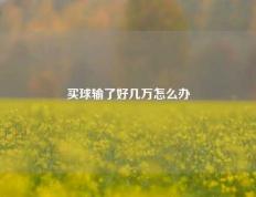 买球输了好几万怎么办