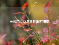 50w买球50万元豪赌的机遇与挑战