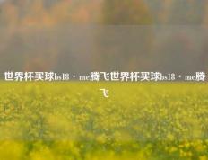 世界杯买球bs18·me腾飞世界杯买球bs18·me腾飞