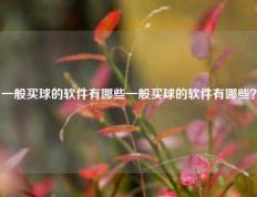 一般买球的软件有哪些一般买球的软件有哪些？