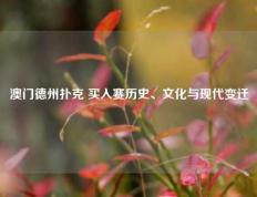 澳门德州扑克 买入赛历史、文化与现代变迁
