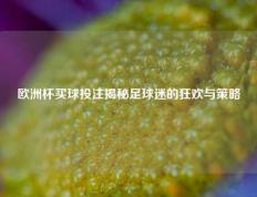 欧洲杯买球投注揭秘足球迷的狂欢与策略
