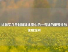 排球买几号球排球比赛中的一号球的重要性与使用规则