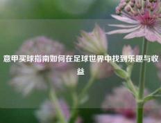 意甲买球指南如何在足球世界中找到乐趣与收益