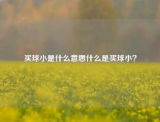 买球小是什么意思什么是买球小？