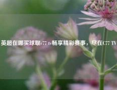 英超在哪买球取c77 tv畅享精彩赛事，尽在C77 TV