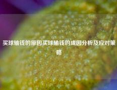 买球输钱的原因买球输钱的成因分析及应对策略