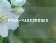 买球在线一种全新的足球竞猜体验