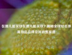 在哪儿能买球在哪儿能买球？揭秘全球知名体育用品品牌及其销售渠道