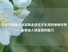 买子乐湾仙人球盆栽走进买子乐湾的神秘世界——探索仙人球盆栽的魅力