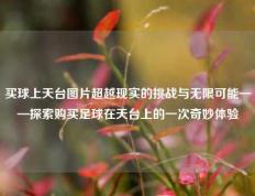 买球上天台图片超越现实的挑战与无限可能——探索购买足球在天台上的一次奇妙体验