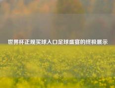 世界杯正规买球入口足球盛宴的终极展示
