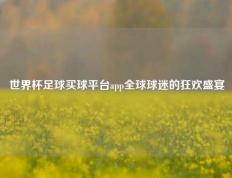 世界杯足球买球平台app全球球迷的狂欢盛宴