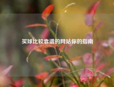 买球比较靠谱的网站你的指南