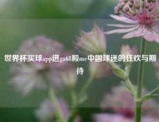 世界杯买球app进ga68殿me中国球迷的狂欢与期待