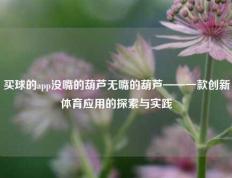 买球的app没嘴的葫芦无嘴的葫芦——一款创新体育应用的探索与实践