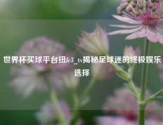 世界杯买球平台扭fc3_tv揭秘足球迷的终极娱乐选择