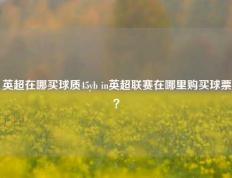 英超在哪买球质45yb in英超联赛在哪里购买球票？