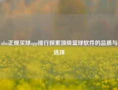 nba正规买球app排行探索顶级篮球软件的品质与选择