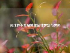 买球算不算赌博罪法律界定与界限