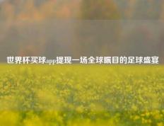 世界杯买球app提现一场全球瞩目的足球盛宴