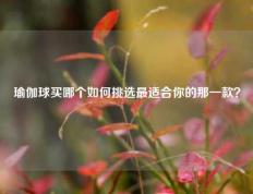 瑜伽球买哪个如何挑选最适合你的那一款？