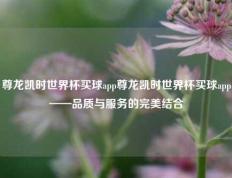 尊龙凯时世界杯买球app尊龙凯时世界杯买球app——品质与服务的完美结合