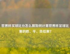 世界杯买球比分怎么算如何计算世界杯足球比赛的胜、平、负结果？