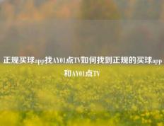 正规买球app找AY01点TV如何找到正规的买球app和AY01点TV