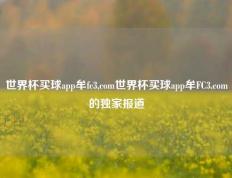 世界杯买球app牟fc3,com世界杯买球app牟FC3.com的独家报道