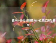 🏆德州扑扑克规则德州扑克的起源与演变