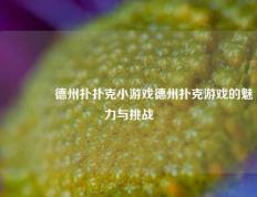 🥇德州扑扑克小游戏德州扑克游戏的魅力与挑战