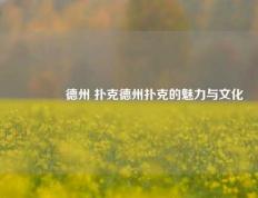 🥈德州 扑克德州扑克的魅力与文化
