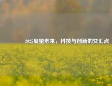 🥈2025展望未来，科技与创新的交汇点